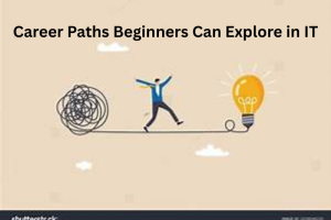 Career Paths Beginners Can Explore in IT