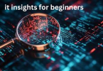 it insights for beginners